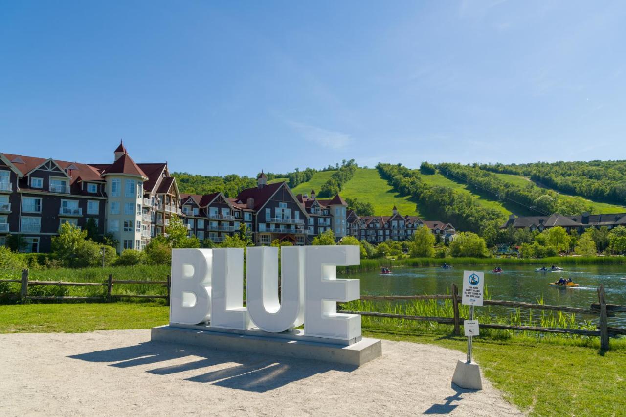 Blue Heart Mountain Studio Dream Walk To Slopes, Tennis Blue Mountains Exterior photo
